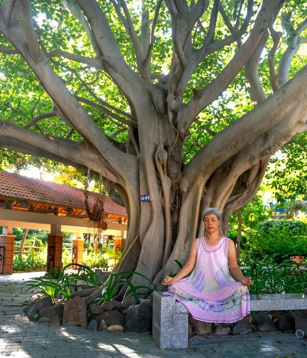 Woman performing a morning yoga pose in a calm environment.